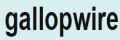 Gallopwire電池